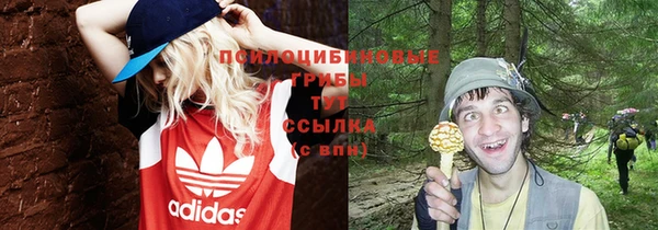 дживик Алексин