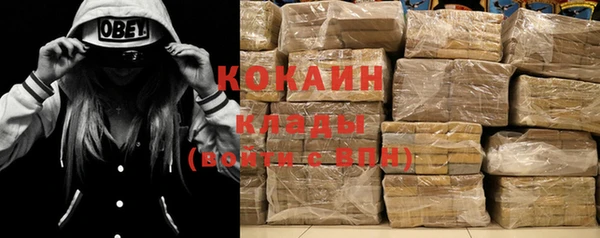 дживик Алексин